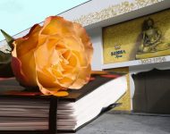 caderno de estudante na frente de uma unidade buddha spa