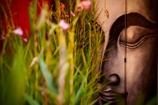 imagem de ambientes buddha spa