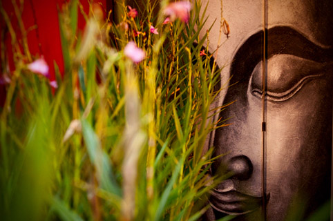 imagem de ambientes buddha spa