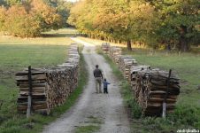 um homem e uma criança caminhando