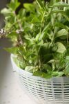 uma cesta de manjericão