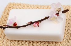 flor utilizada para receitas de banhos de sachês