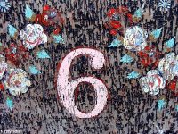 numero 6