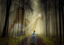 Uma criança em um caminho com várias árvores