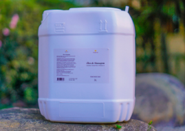 Óleo de Massagem Galão 5 Litros