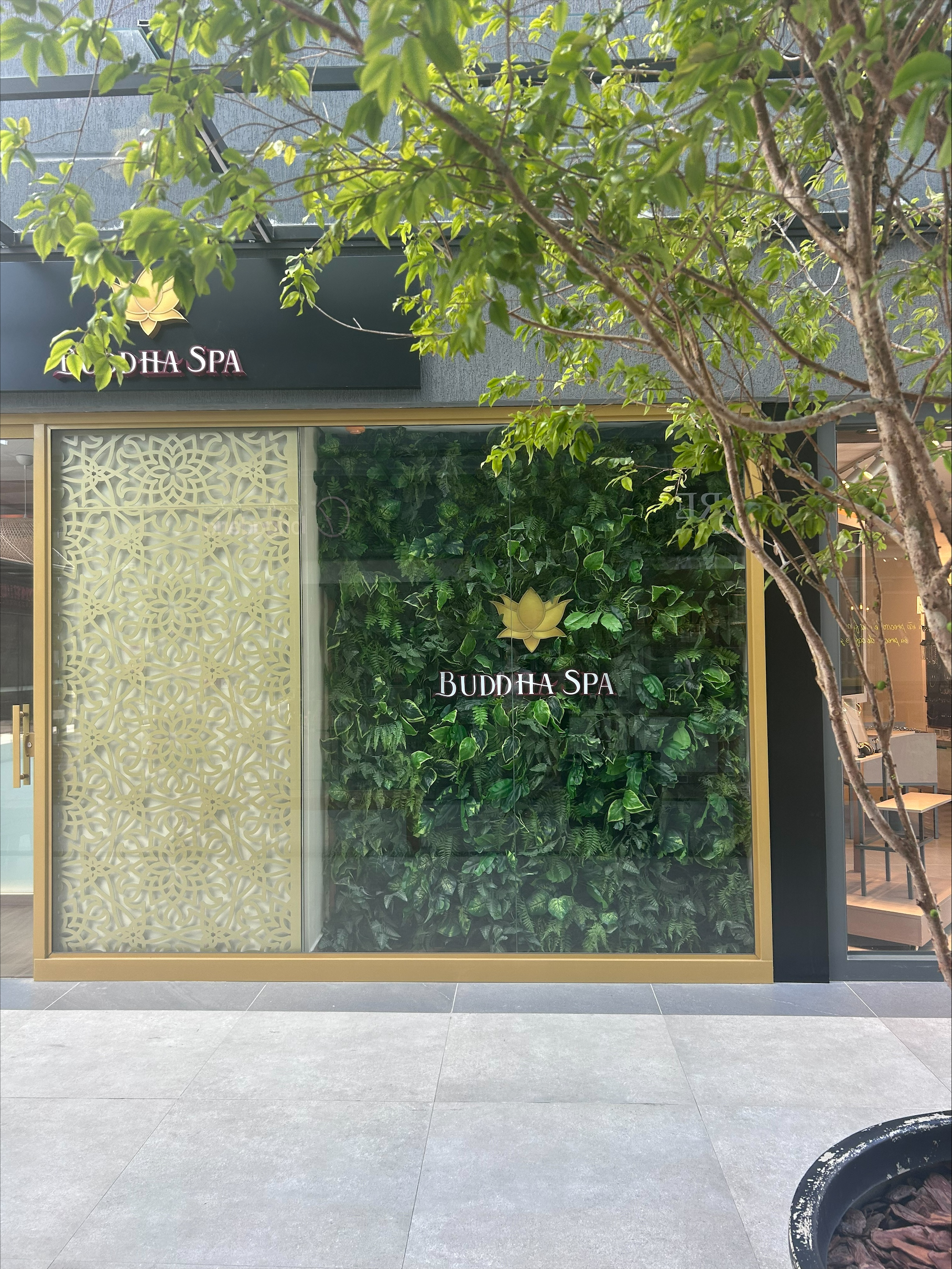 processed-A0C5E50D-A51A-4664-9AB9-730248647073